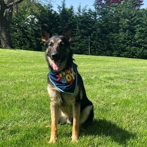 Meet your Posher, David